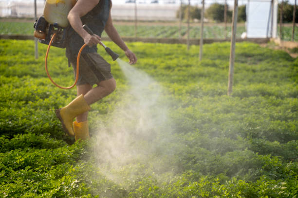 Best Exterminator Services  in Burnet, TX