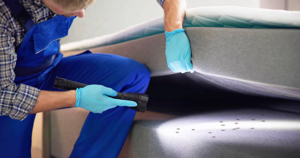 Best Local Pest Control Services  in Burnet, TX
