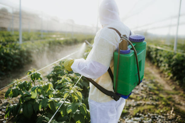 Flea Control Services in Burnet, TX